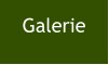 Galerie